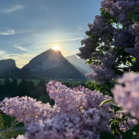 Niesenblick